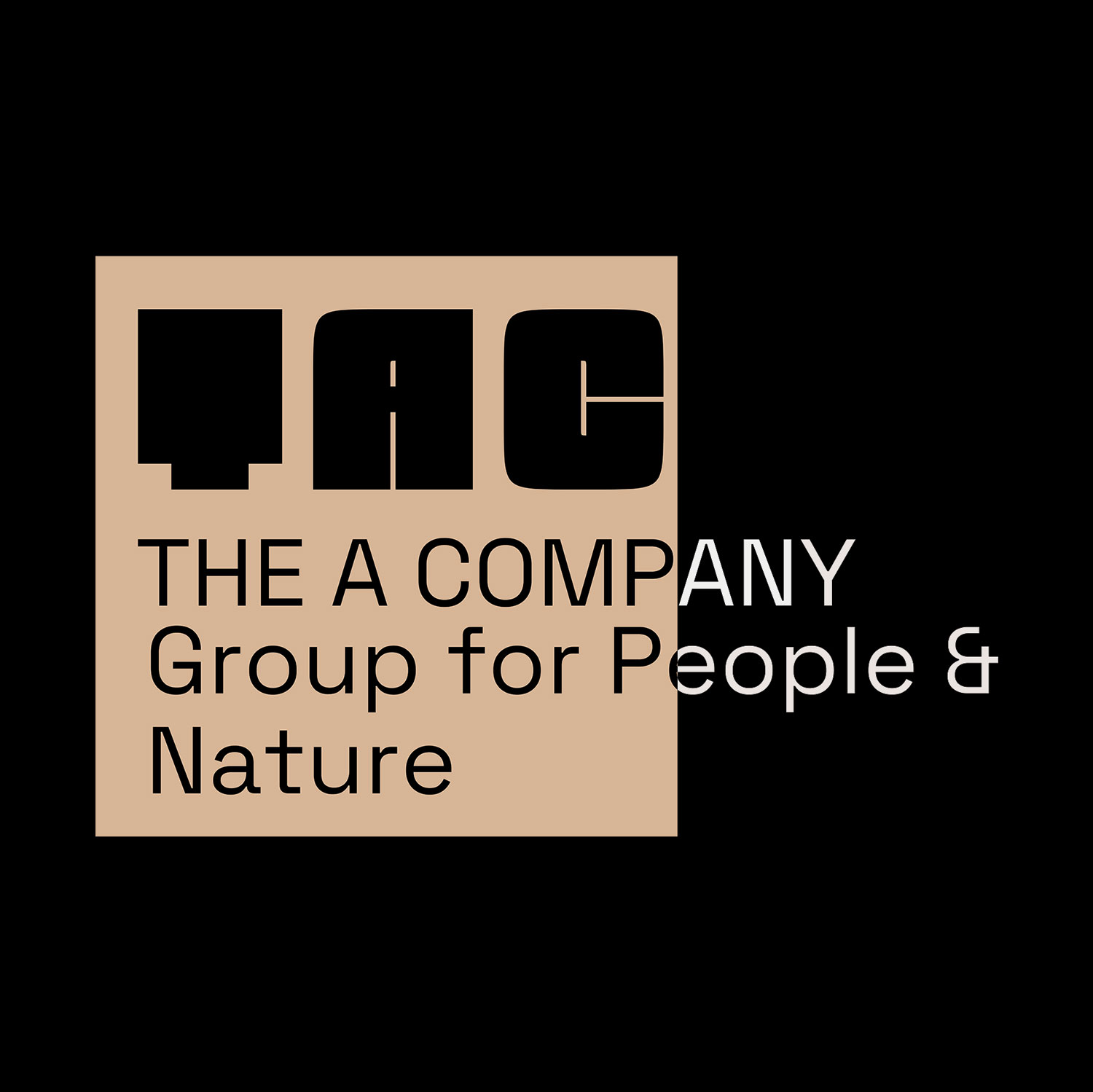 THE A COMPANY Group TAC